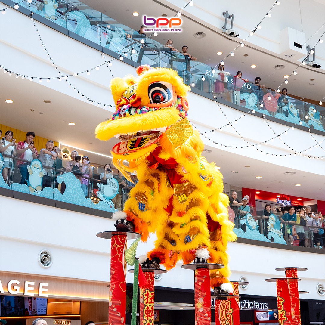 Community members gathering to watch the festive celebrations.