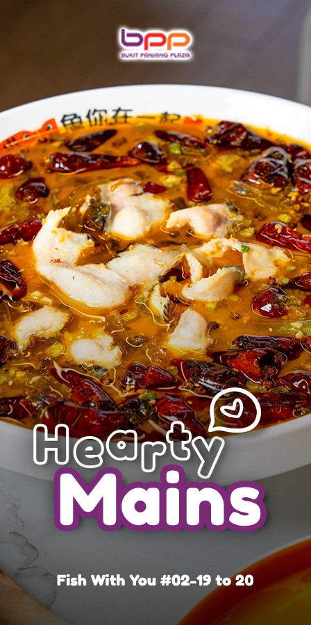 A delectable spread of hearty Chinese main courses, possibly from Fish With You