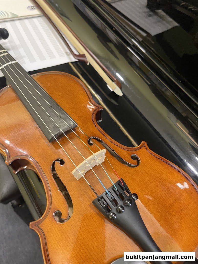 A close-up shot of a violin and bow resting on sheet music and a piano.
