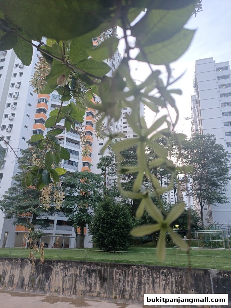 A view of apartment buildings through flowering branches and greenery.