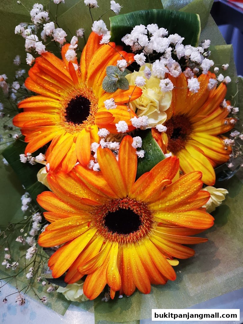 A vibrant bouquet of orange gerbera daisies with delicate white baby's breath.