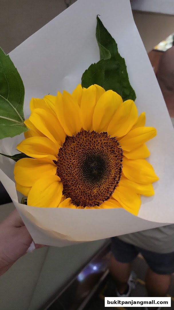 A hand holds a freshly wrapped sunflower with green leaves.