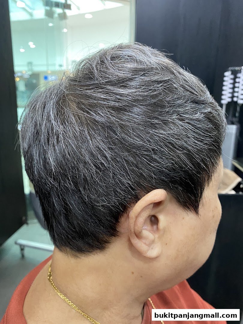Close-up of a person's short, grey-streaked hair and ear.