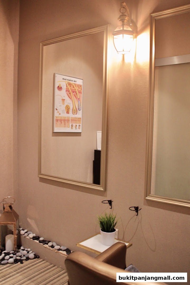 Interior shot of a salon with mirrors, a decorative lantern, and a hair anatomy chart.