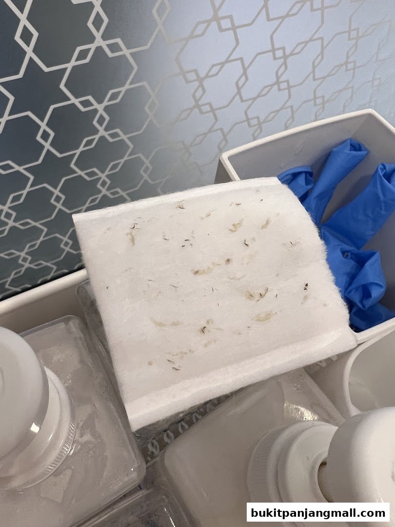 Close-up of used cotton pads with debris and blue gloves in a container.