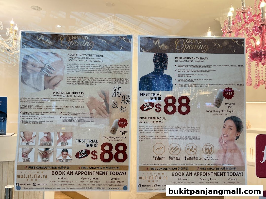 Two promotional flyers for Multiflora TCM Spa offering various treatments and first trial offers.