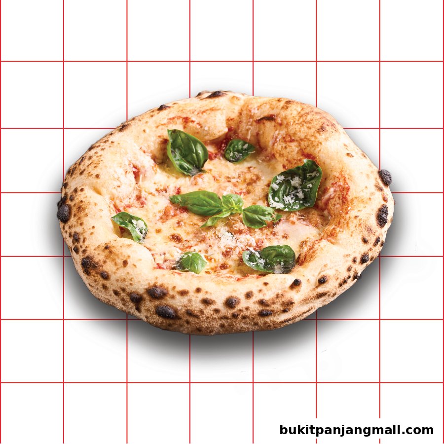 A delicious Neapolitan pizza with fresh basil and melted cheese on a white background with red grid lines.