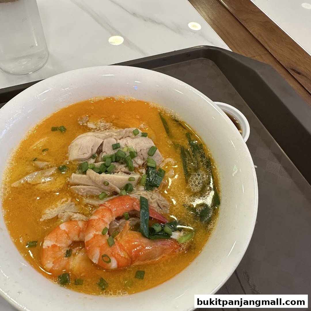 A close-up of a delicious bowl of noodle soup with chicken, shrimp, and green onions.