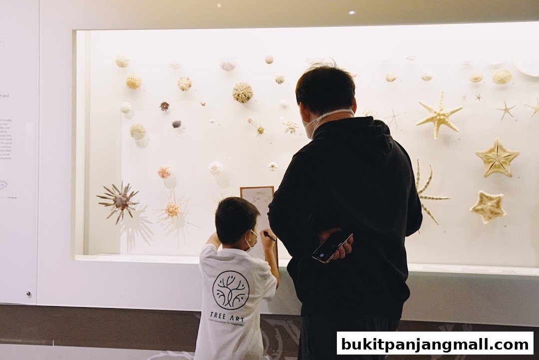 A child draws while an adult watches a display of marine life specimens.