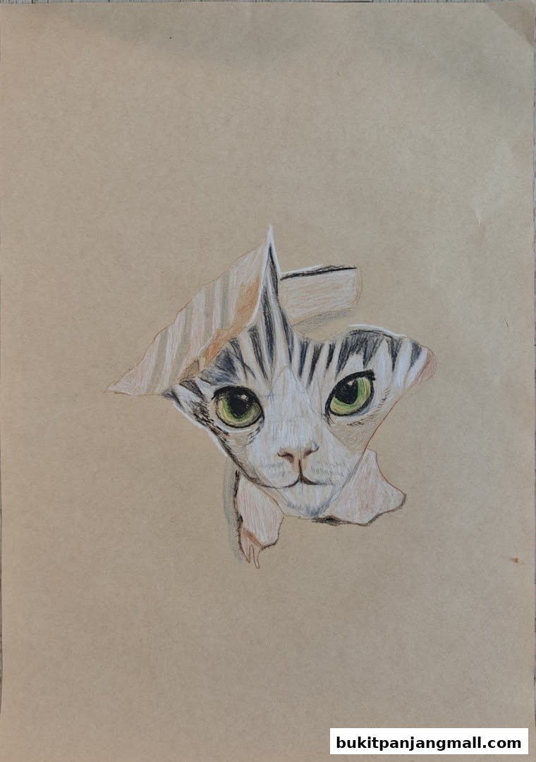 A colored pencil drawing of a cat's face peeking through a torn paper.
