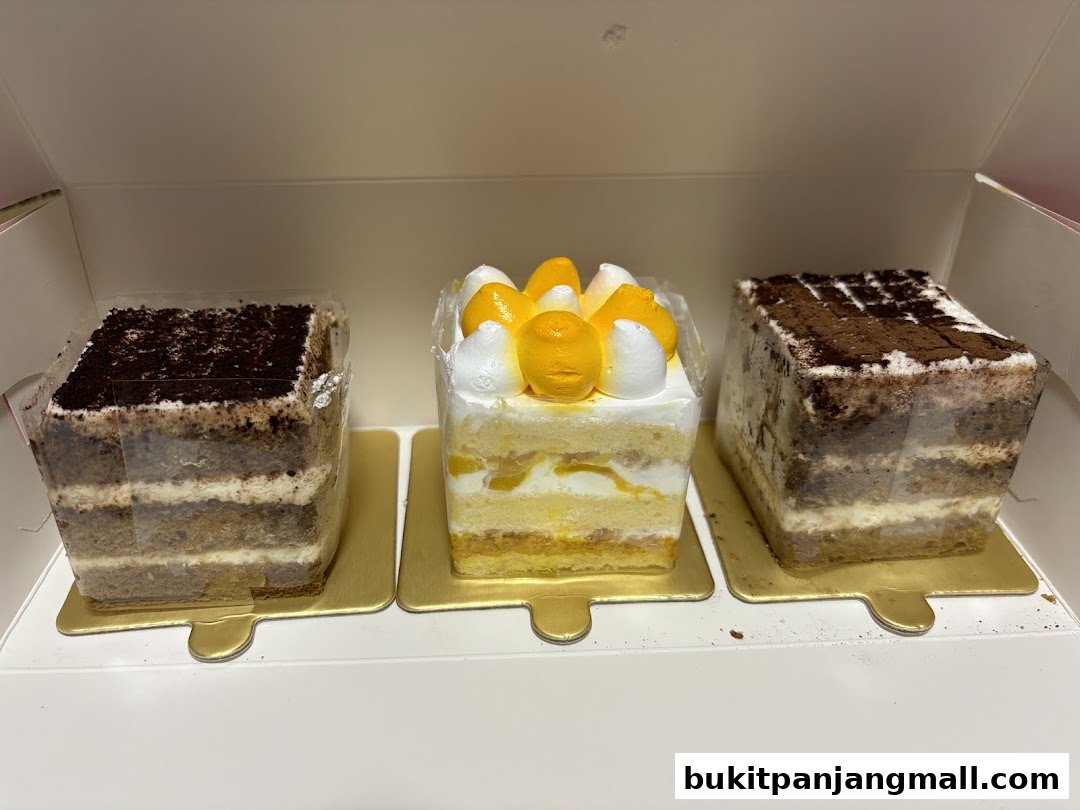 Three delicious square cakes, two chocolate and one with fruit and cream, displayed in a box.