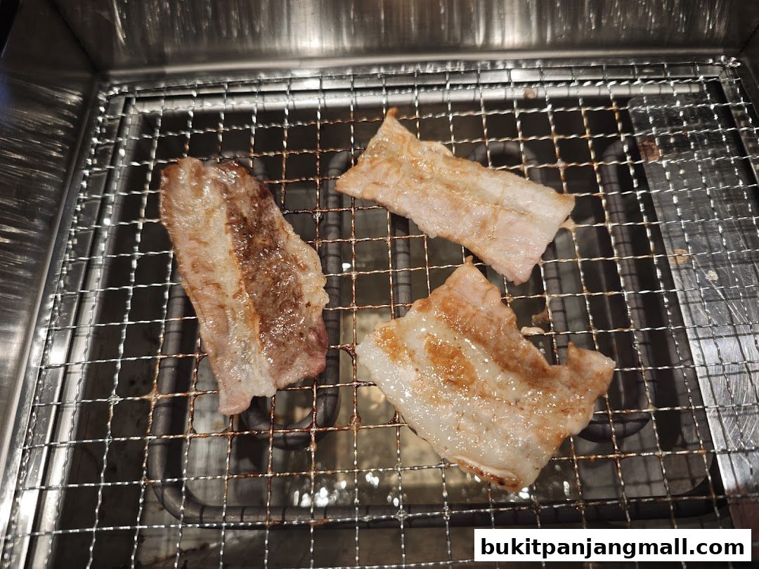 Sizzling slices of meat grilling on a metal grate, showcasing a delicious culinary experience.