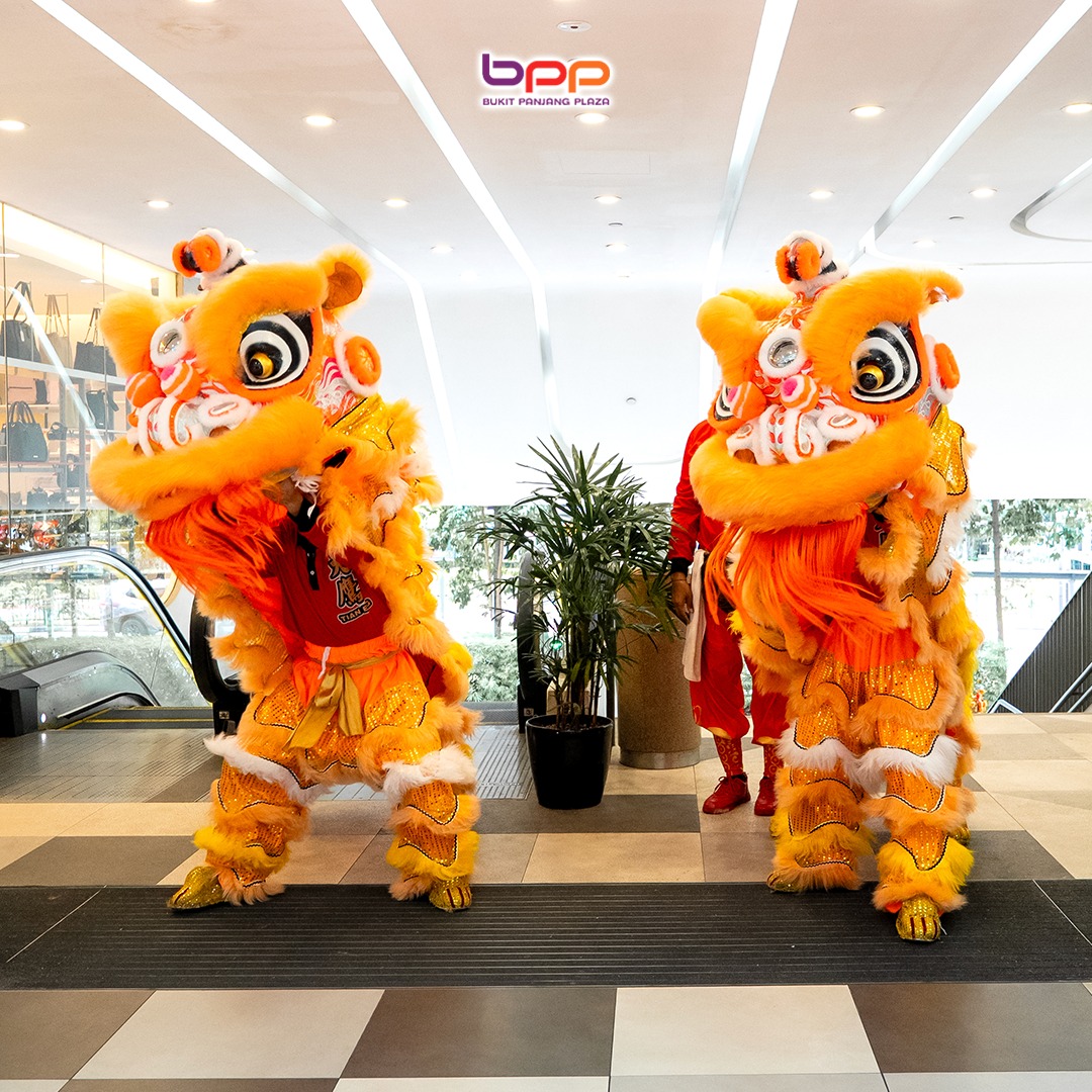 The colorful and intricate details of the traditional lions.